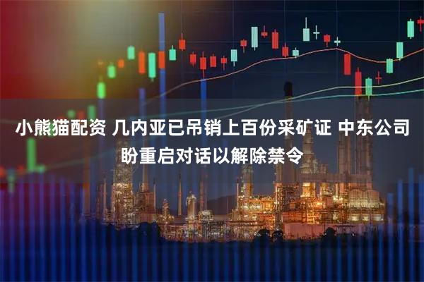 小熊貓配資 幾內亞已吊銷上百份采礦證 中東公司盼重啟對話以解除禁令