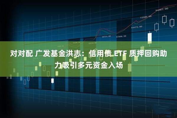 對(duì)對(duì)配 廣發(fā)基金洪志：信用債 ETF 質(zhì)押回購(gòu)助力吸引多元資金入場(chǎng)