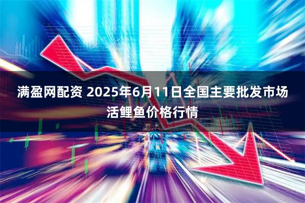 滿盈網配資 2025年6月11日全國主要批發市場活鯉魚價格行情