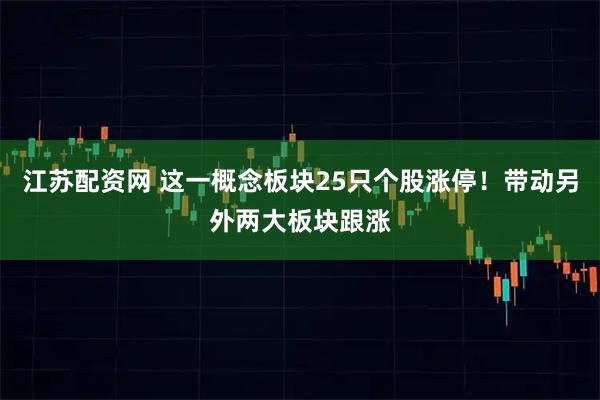 江蘇配資網 這一概念板塊25只個股漲停！帶動另外兩大板塊跟漲